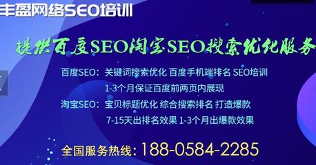 网站seo培训(网站seo课程)