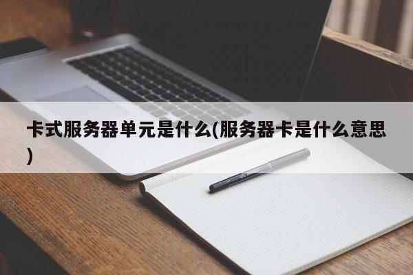 卡式服务器单元是什么(服务器卡是什么意思)