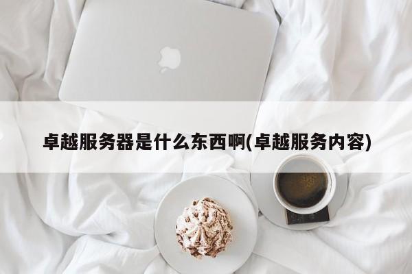 卓越服务器是什么东西啊(卓越服务内容)