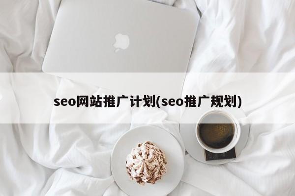 seo网站推广计划(seo推广规划)