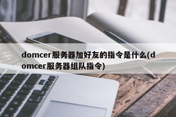 domcer服务器加好友的指令是什么(domcer服务器组队指令)