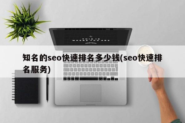 知名的seo快速排名多少钱(seo快速排名服务)