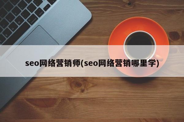 seo网络营销师(seo网络营销哪里学)