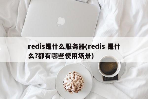 redis是什么服务器(redis 是什么?都有哪些使用场景)