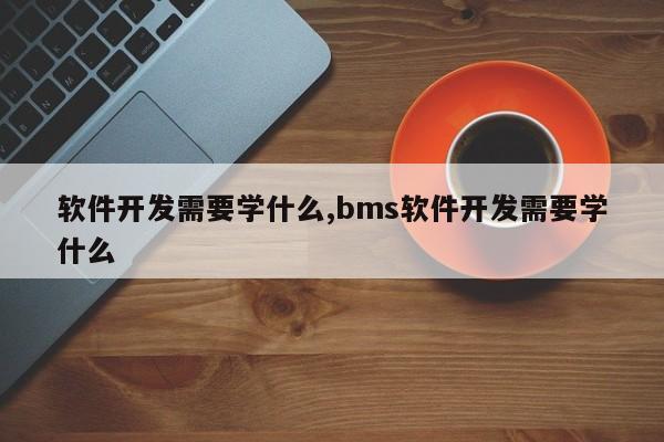 软件开发需要学什么,bms软件开发需要学什么