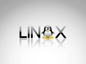 linux服务器租（租服务器怎么租）