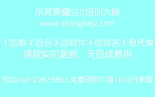 seo免费培训教程（seo免费培训教程百度云）