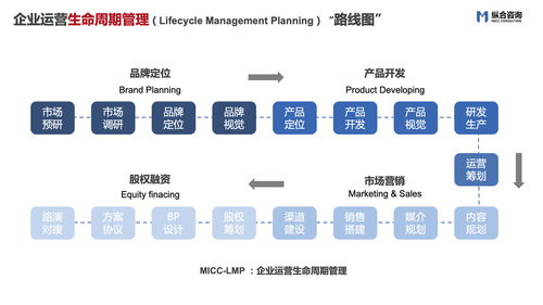 企业一定要用域服务器（服务器和域）