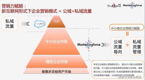 岛seo公司（福建seo公司）