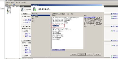 server2008域服务器域名随便（服务器不能访问域名）