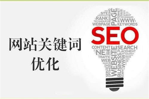 seo相关词（seo相关词汇）