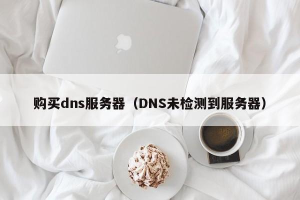 购买dns服务器（DNS未检测到服务器）