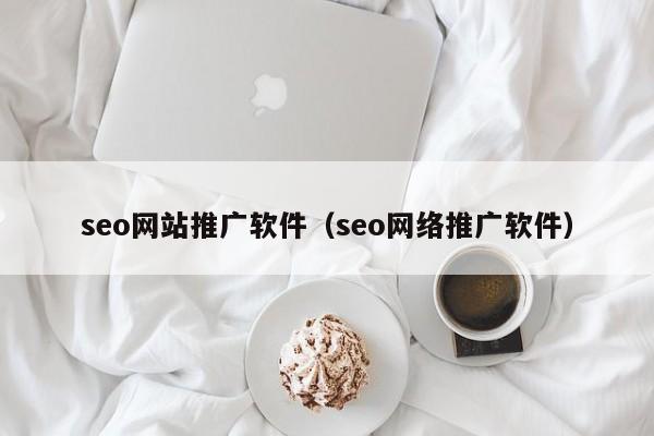 seo网站推广软件（seo网络推广软件）