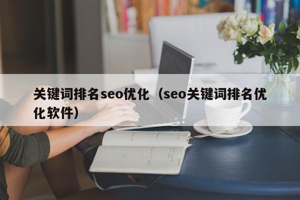 关键词排名seo优化（seo关键词排名优化软件）