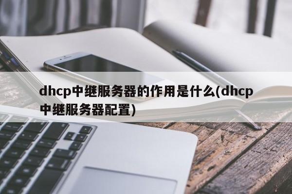dhcp中继服务器的作用是什么(dhcp中继服务器配置)
