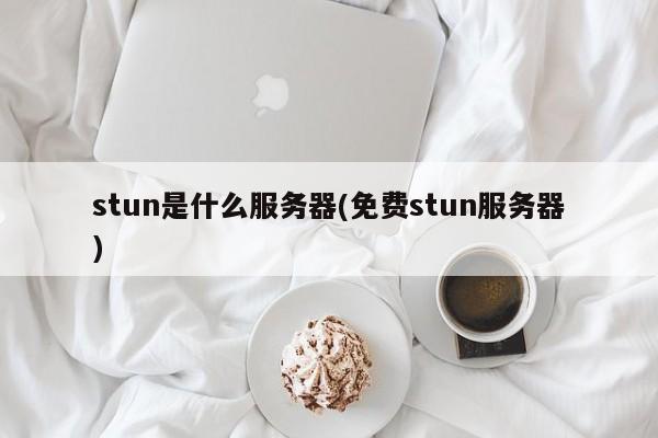 stun是什么服务器(免费stun服务器)